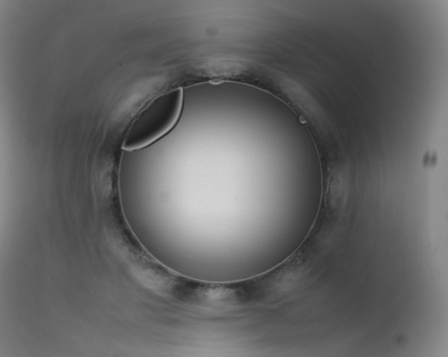 X0000111500501200907141316