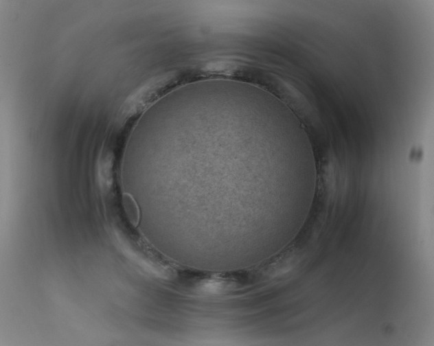 X0000111500504200907141316