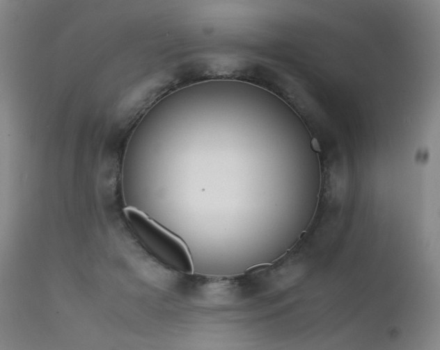 X0000111500505200907141316