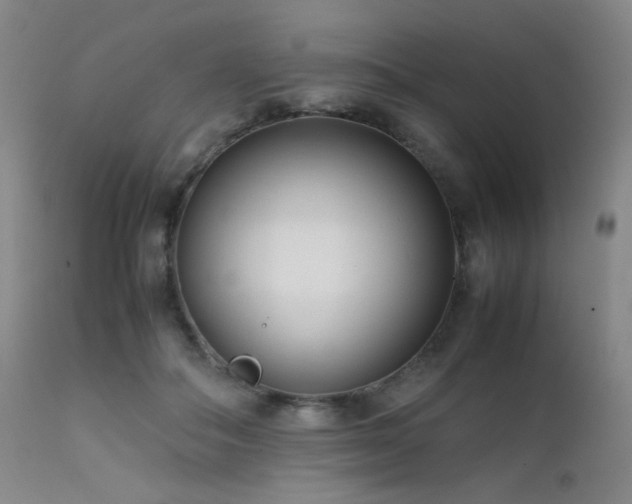 X0000111500506200907141316