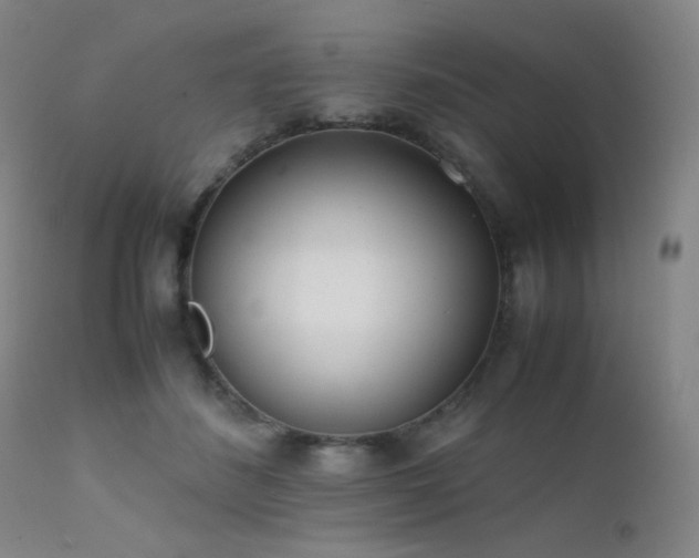 X0000111500508200907141316