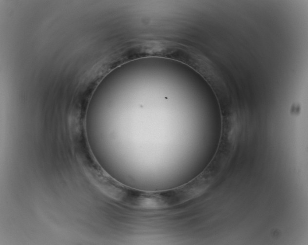 X0000111500510200907141316