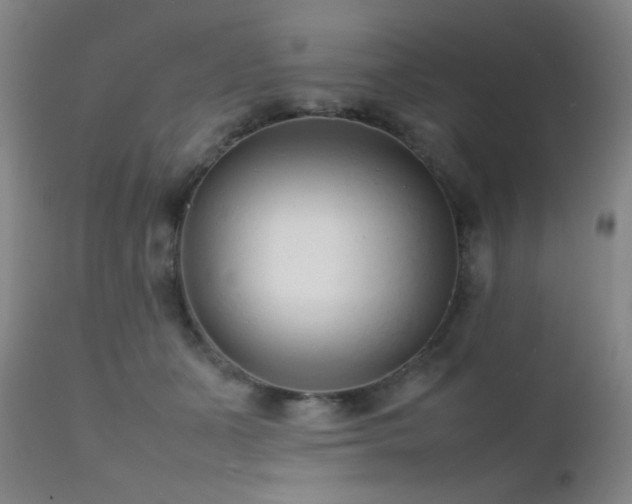 X0000111500511200907141316