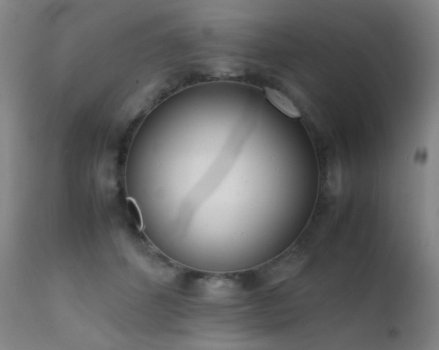 X0000111500512200907141316