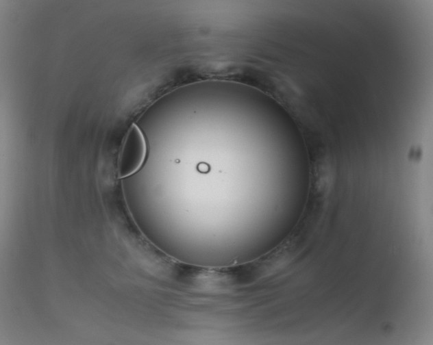 X0000111500515200907141316