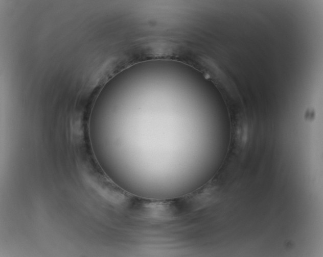 X0000111500516200907141316