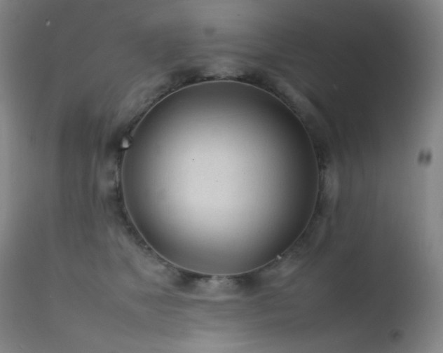 X0000111500517200907141316