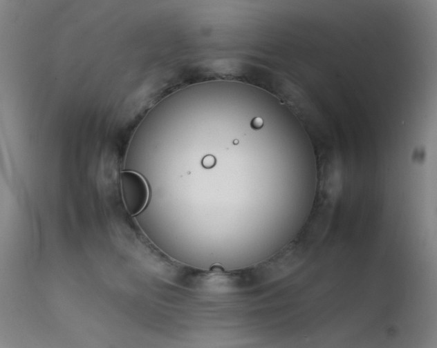 X0000111500518200907141316