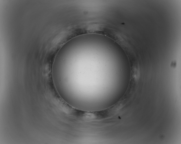 X0000111500519200907141316