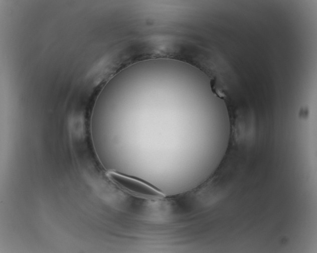 X0000111500520200907141316