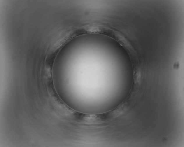 X0000111500521200907141315