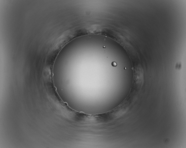 X0000111500523200907141315