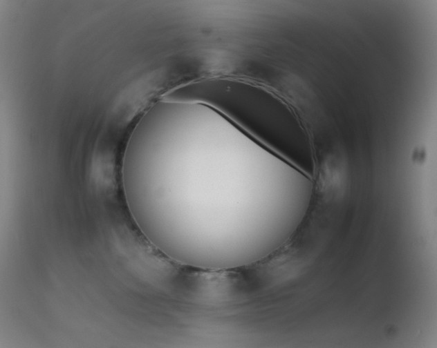 X0000111500524200907141315