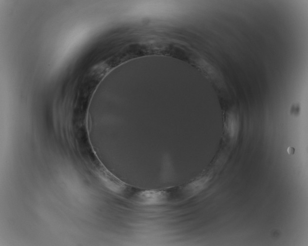 X0000111500526200907141315