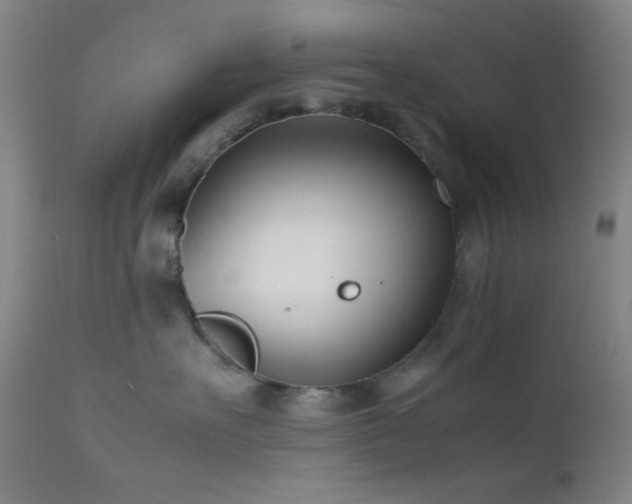 X0000111500527200907141315