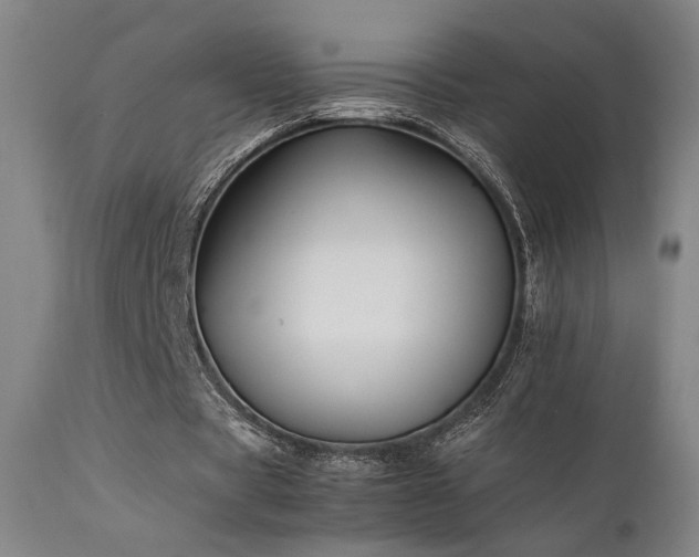 X0000111500529200907141314