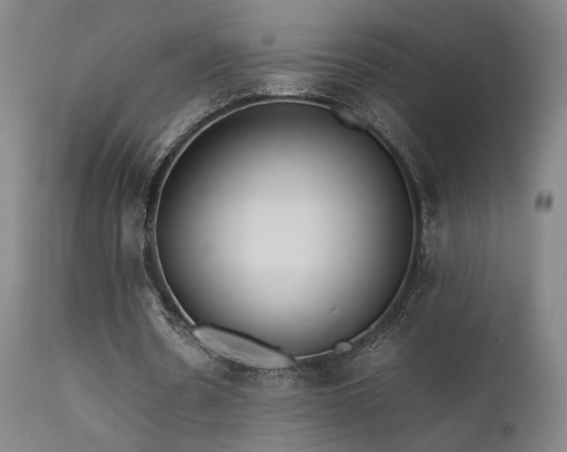 X0000111500530200907141314
