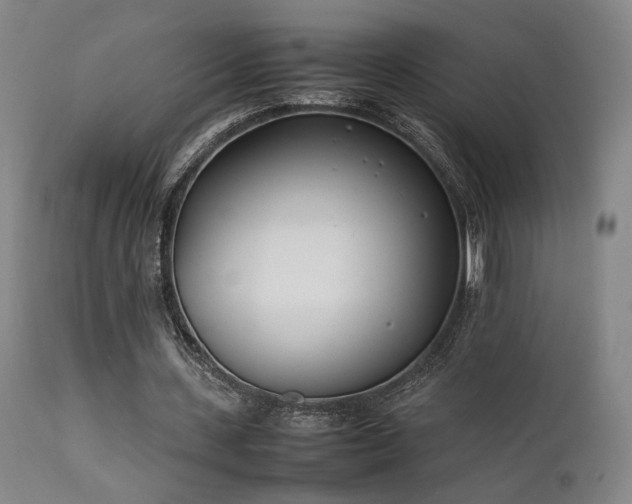 X0000111500531200907141314