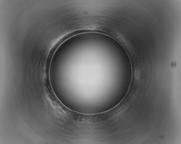 X0000111500532200907141314