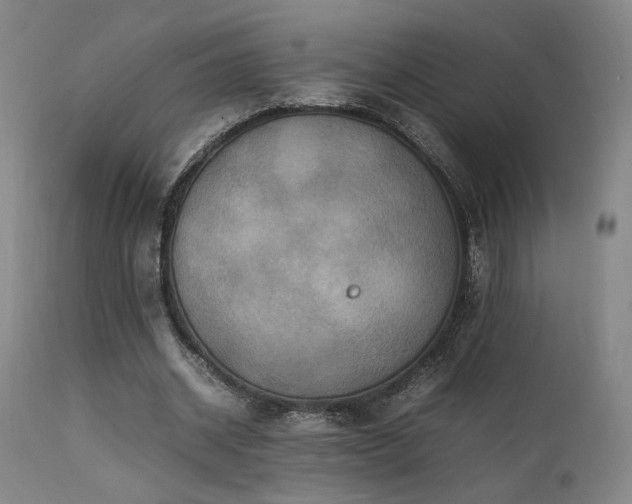 X0000111500534200907141314