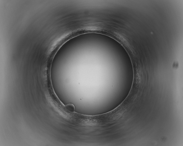 X0000111500535200907141314