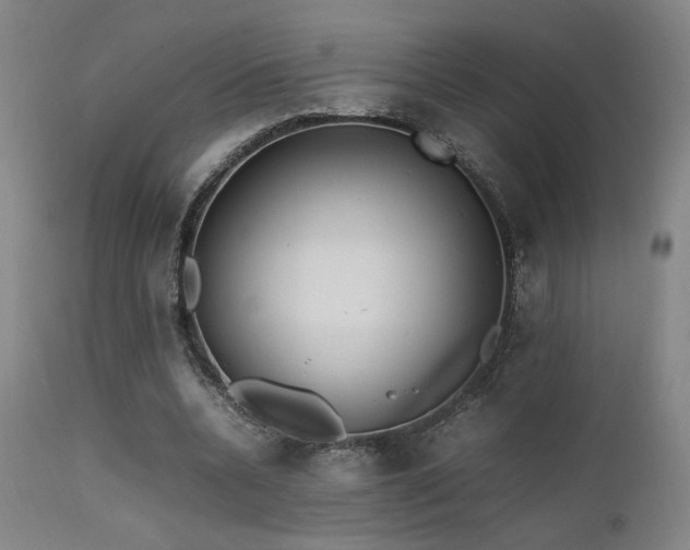 X0000111500536200907141314