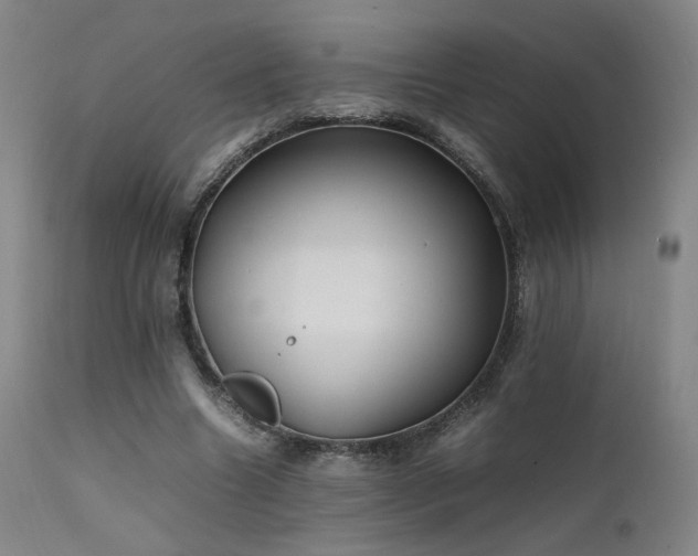 X0000111500538200907141314