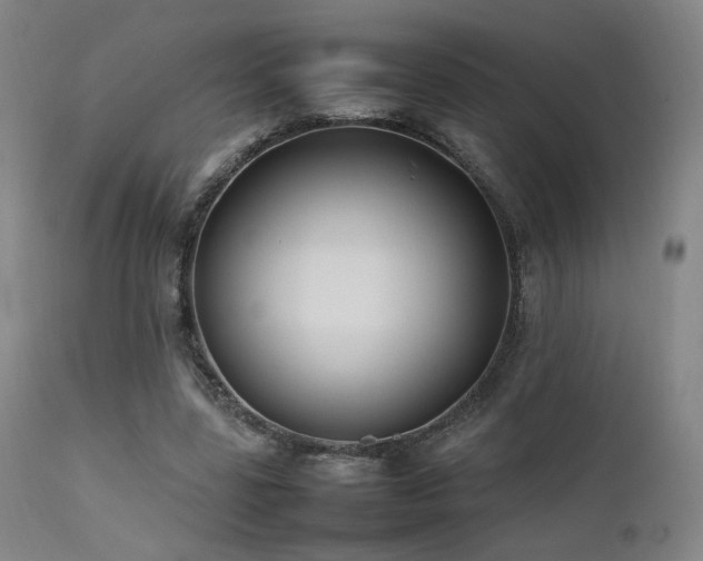 X0000111500539200907141315