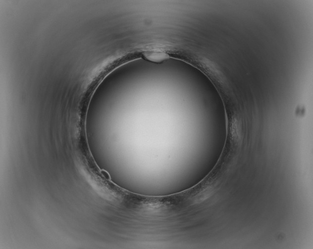 X0000111500540200907141315