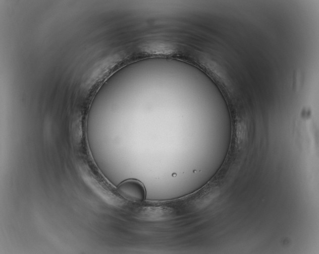 X0000111500541200907141315