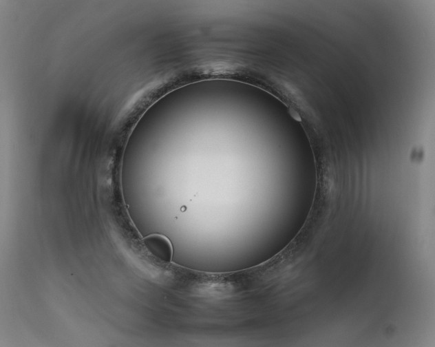X0000111500543200907141315
