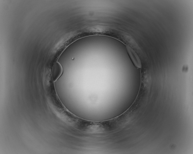 X0000111500544200907141315
