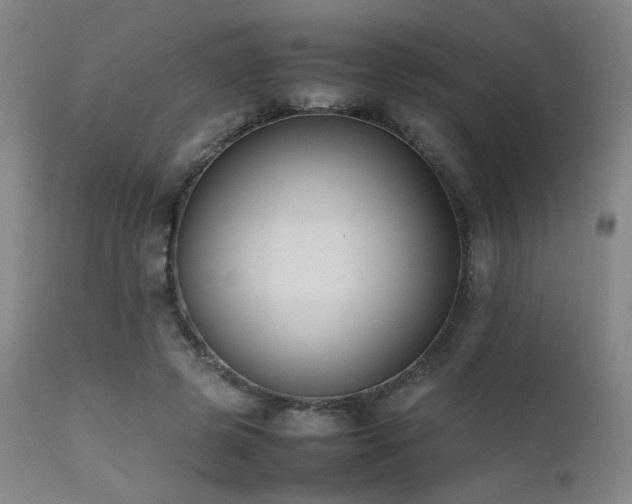 X0000111500545200907141315