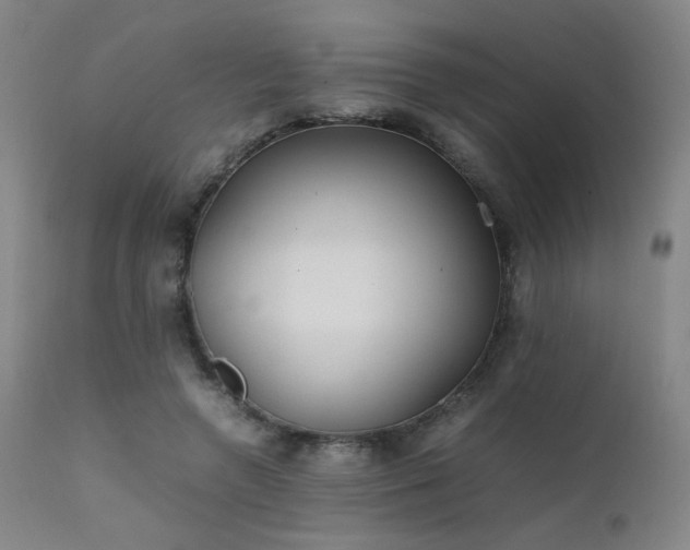 X0000111500546200907141315
