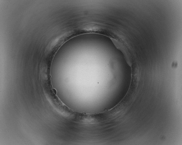X0000111500547200907141315