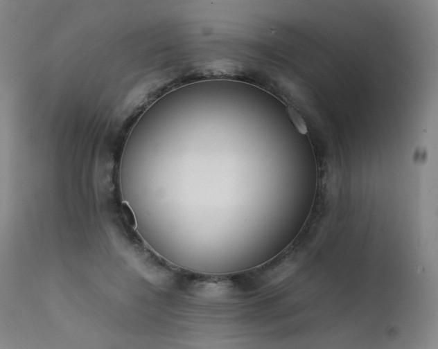 X0000111500548200907141315