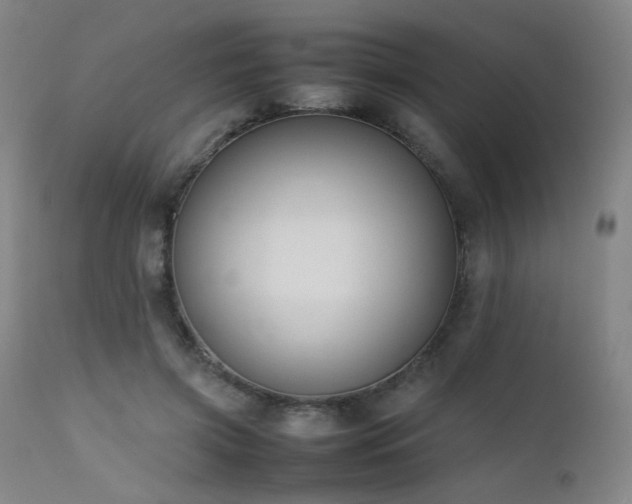 X0000111500549200907141315