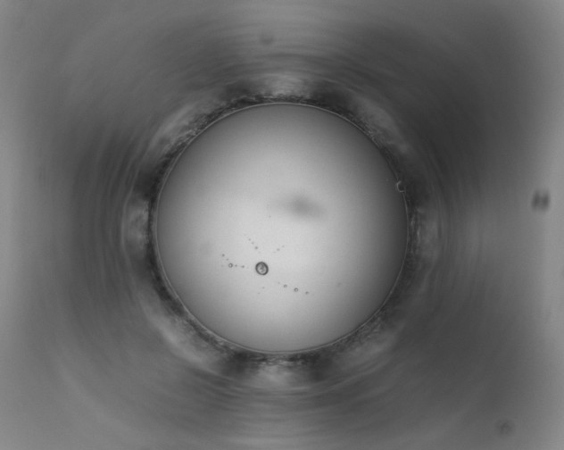X0000111500550200907141315
