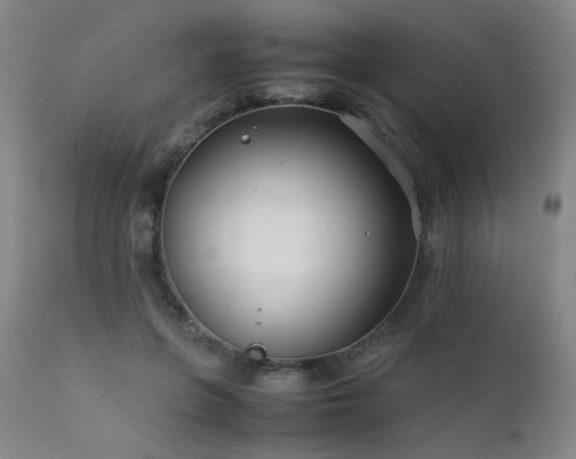 X0000111500551200907141315