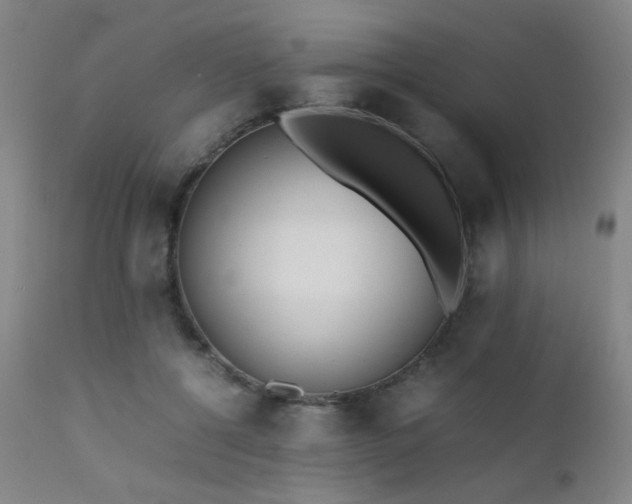 X0000111500552200907141315