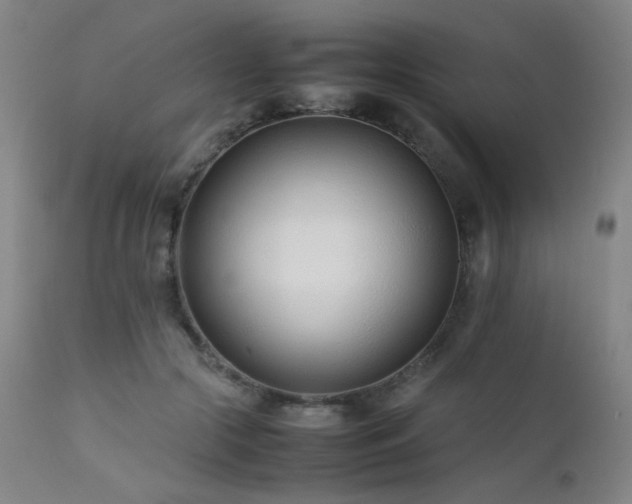 X0000111500553200907141315