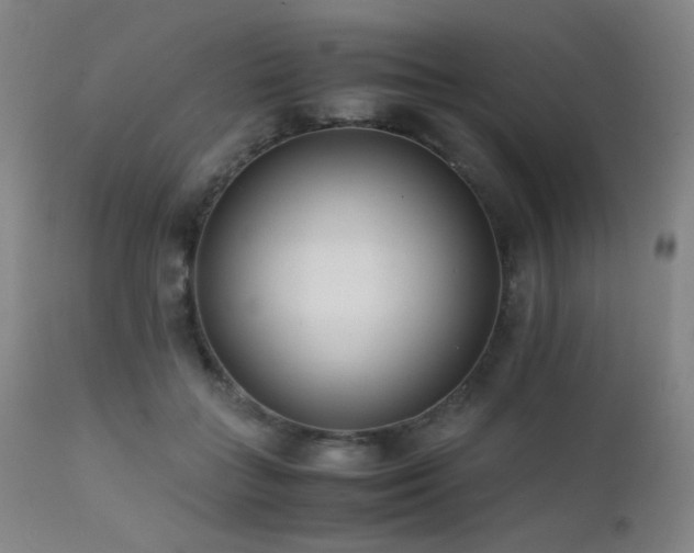 X0000111500555200907141315