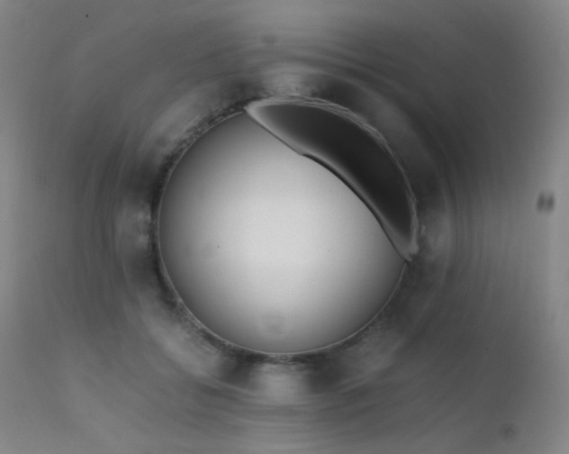 X0000111500556200907141315