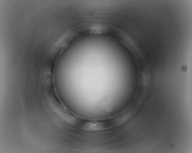 X0000111500557200907141315