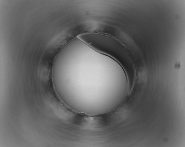 X0000111500558200907141315