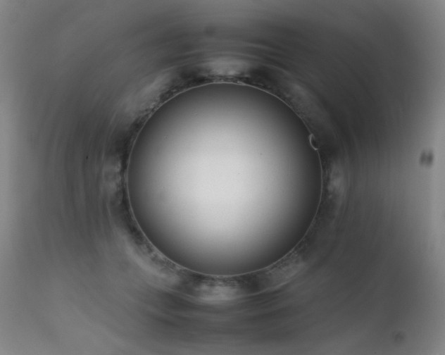 X0000111500559200907141315
