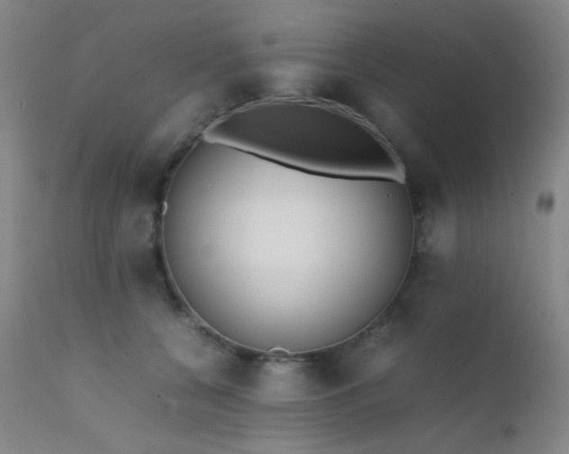 X0000111500560200907141315