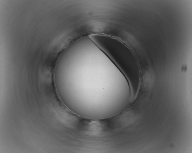X0000111500562200907141315