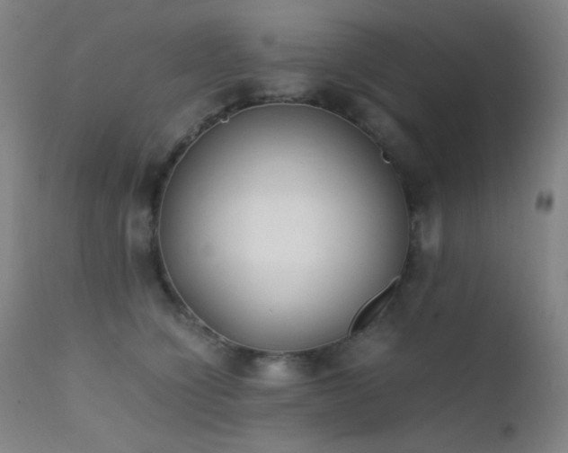 X0000111500564200907141315