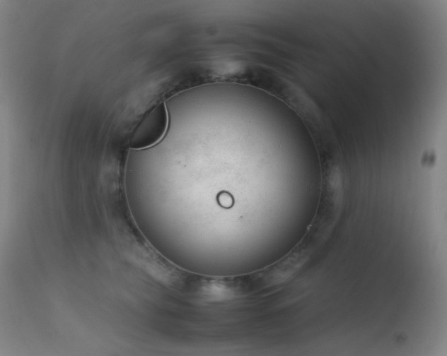 X0000111500565200907141315